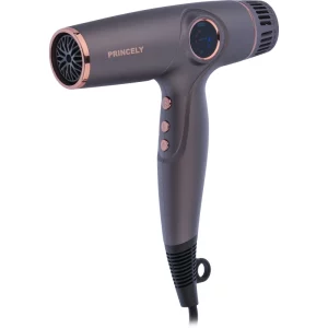 سشوار سالنی پرنسلی 281